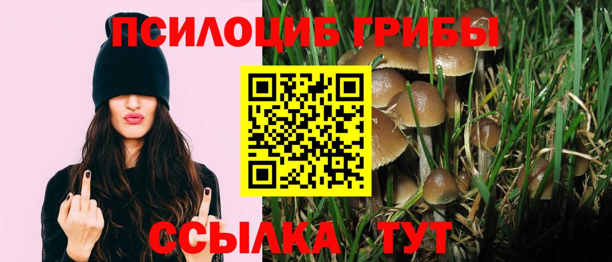 Ливны  Галлюциногенные грибы прущие грибы  Вход с VPN 